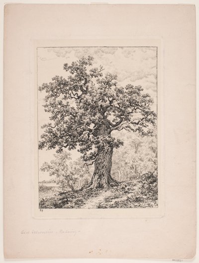 El roble de Niels Ebbesen. Bosque de Gyllingnæs de Axel Schovelin