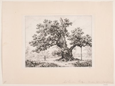 Storkeegen. Jægerspris de Axel Schovelin