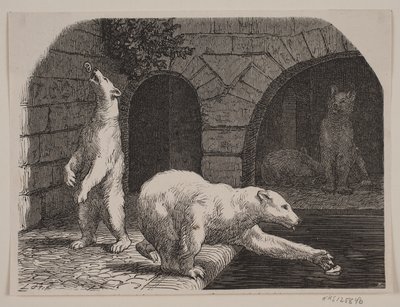 Osos en el Jardin des Plantes de Axel Theodor Kittendorff