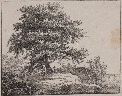 Árbol en una pendiente junto al mar de Axel Theodor Kittendorff