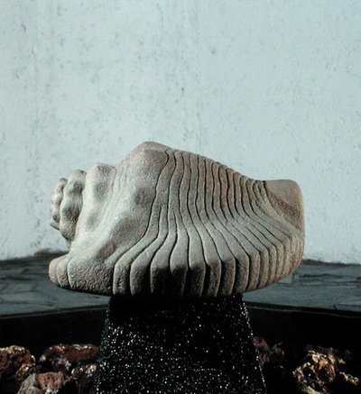 Concha de caracol marino, c.1500 de Aztec