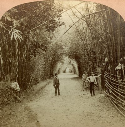 El Mardyke, Cork, Irlanda de B. W. Kilburn