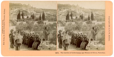 El jardín de Getsemaní y el Monte de los Olivos, Palestina de B. W. Kilburn