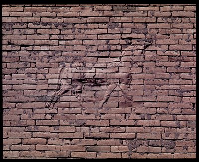 (detalle) de un toro, relieve de la puerta de Ishtar, 580 a.C. de Babylonian