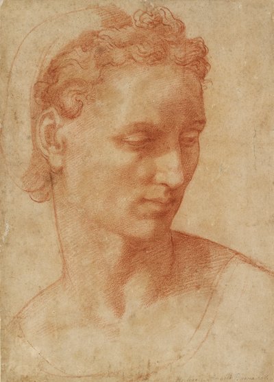 Cabeza de una mujer, principios del siglo XVI de Baccio Bandinelli