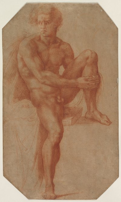 Desnudo masculino sentado de Baccio Bandinelli