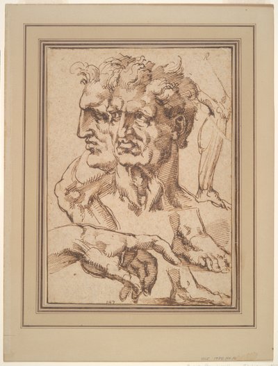 Ficha de Estudios de Baccio Bandinelli