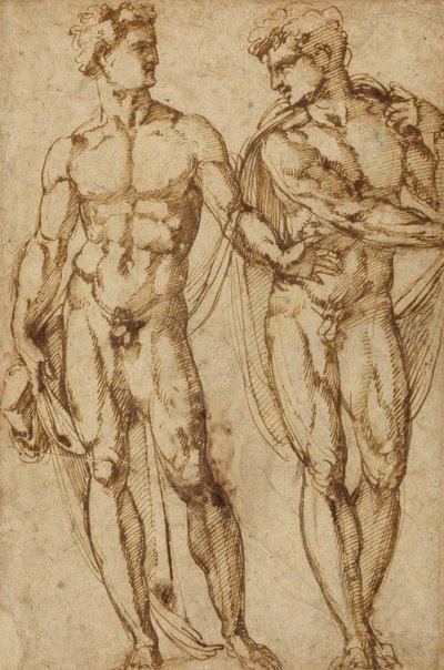 Estudio de dos hombres (anverso); Estudio de la cabeza de un hombre barbudo (reverso) de Baccio Bandinelli