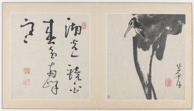 Páginas de un álbum de flores, pájaros, insectos y peces, Dinastía Qing, 1688-89 (tinta sobre papel) de Bada Shanren
