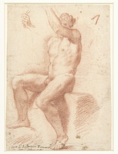 Estudio de un modelo de desnudo masculino de Baldassare Franceschini