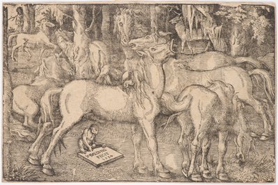 Grupo de siete caballos de Baldung