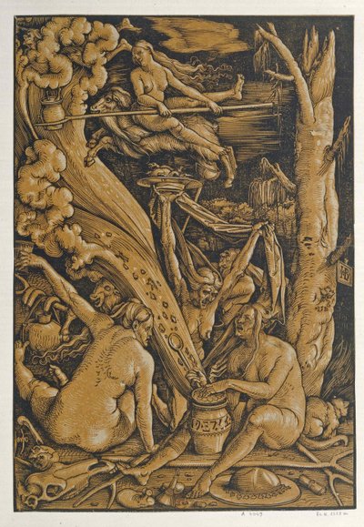 Brujas de Baldung
