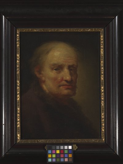 Cabeza de un anciano (óleo sobre madera) de Balthasar Denner