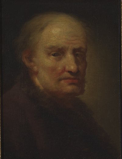Cabeza de anciano (óleo sobre lienzo) de Balthasar Denner