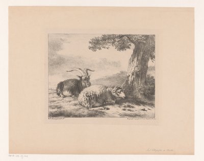 cabra y oveja de Balthasar Paul Ommeganck