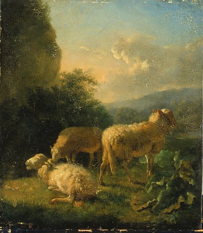 Ovejas de Balthasar Paul Ommeganck