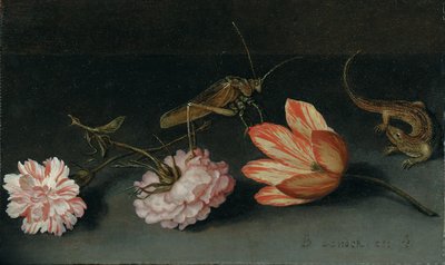 Claveles, un tulipán loro, un saltamontes y un lagarto en un saliente de Balthasar van der Ast