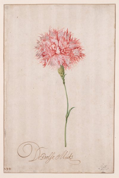 El sombrero polaco de Balthasar van der Ast