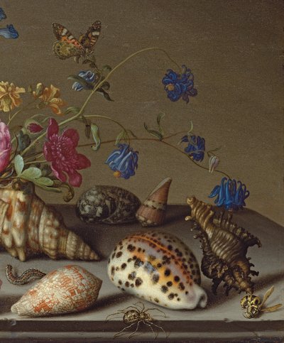 Flores, Conchas e Insectos en un Ledge de Piedra de Balthasar van der Ast