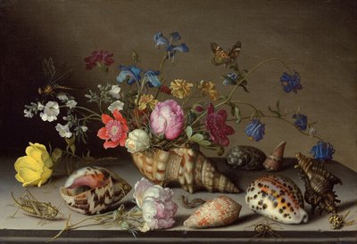 Flores, Conchas e Insectos en un Alfeizar de Piedra de Balthasar van der Ast
