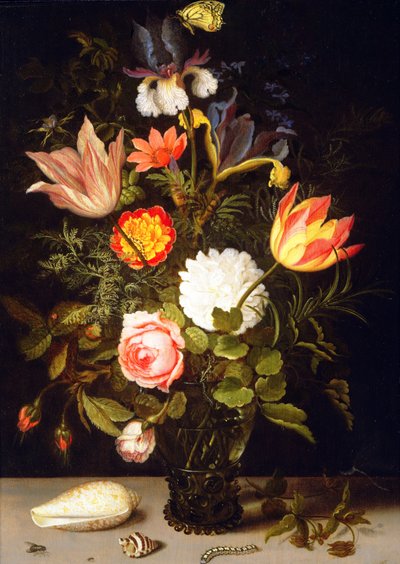 Naturaleza muerta de flores en un Roemer con dos conchas de Balthasar van der Ast