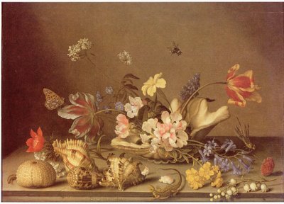Bodegón de flores y conchas de Balthasar van der Ast