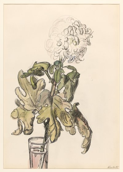 Crisantemo en flor, en un jarrón de Barbara Elisabeth van Houten