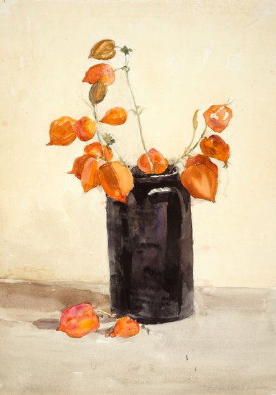 Flores en jarrón negro (acuarela sobre papel) de Barbara Leigh Smith Bodichon