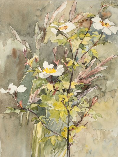 Flores silvestres (acuarela y grafito sobre papel de trama) de Barbara Leigh Smith Bodichon