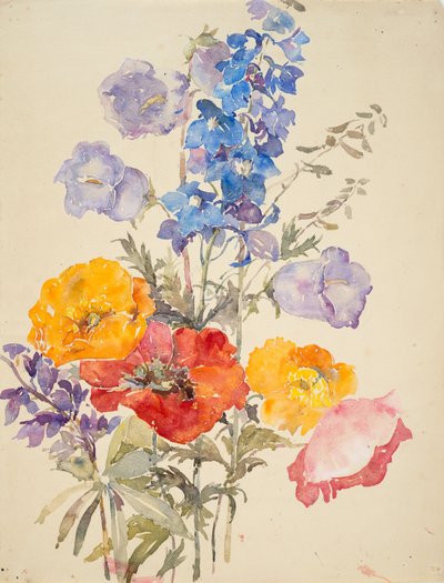 Flores amarillas, rojas y azules (acuarela y grafito sobre papel verjurado) de Barbara Leigh Smith Bodichon