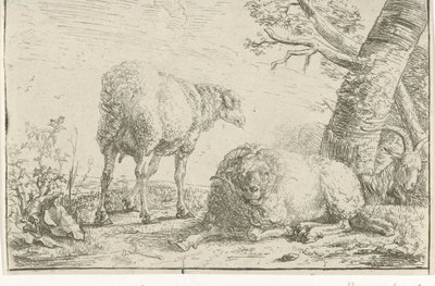 Dos ovejas y una cabra de Barend Graat