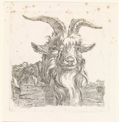 Cabeza de ciervo de Barend Hendrik Thier