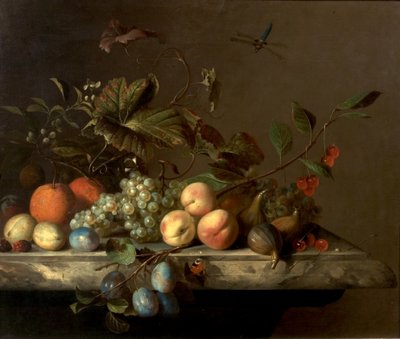 Pieza de Frutas con Libélula, 1692 de Barend or Bernardus van der Meer