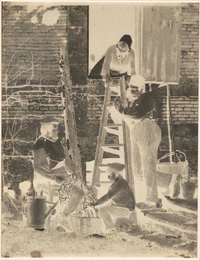 Los clasificadores de frijoles de Baron Louis Adolphe Humbert De Molard