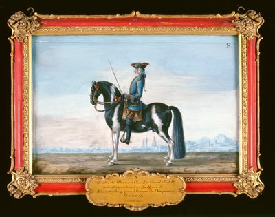 No. 8 Un caballo pío y jinete, de la Escuela Española de Equitación, el caballo perteneciente al difunto Príncipe de Schwartzenberg, caballerizo del Emperador Carlos VI de Baron Reis Eisenberg