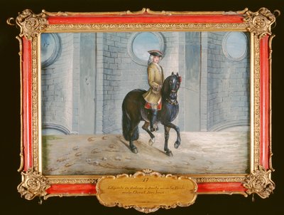 No. 17 Un caballo bayo oscuro de la Escuela Española de Equitación realizando un paso de doma de hombro adentro de Baron Reis Eisenberg
