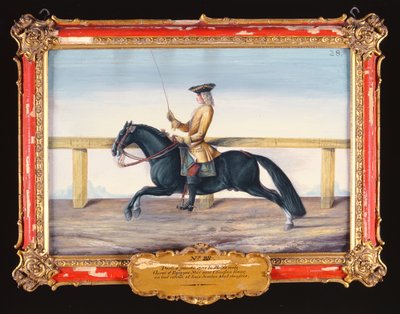 No. 28 Un caballo negro español de la Escuela Española de Equitación realizando un movimiento de doma de Baron Reis Eisenberg