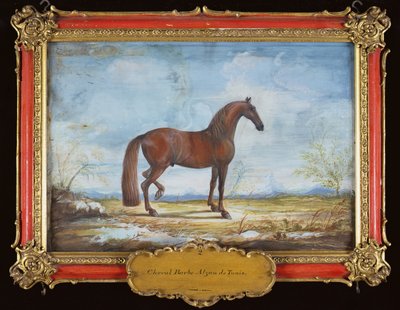 No. 2 Alzan de Túnez, un caballo bárbaro de la Escuela Española de Equitación de Baron Reis Eisenberg