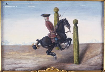 No. 46 Un caballo bayo de la Escuela Española de Equitación realizando un movimiento de doma llamado Croupade de Baron Reis Eisenberg