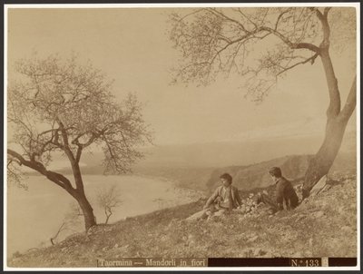 Almendros en flor, Taormina de Baron Wilhelm von Gloeden