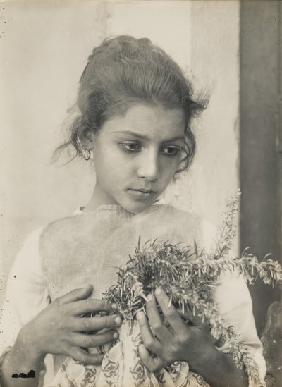 [Chica con romero] de Baron Wilhelm von Gloeden