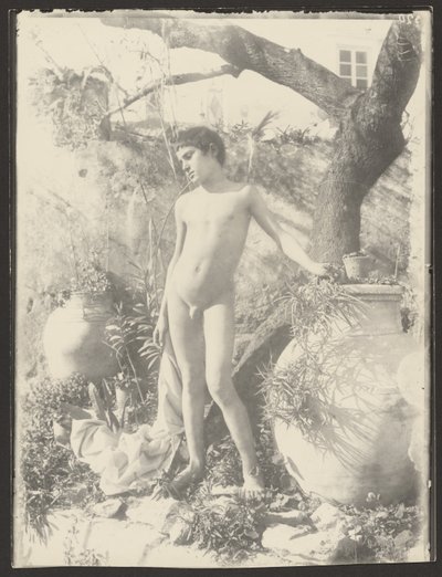 [Joven desnudo en el jardín] de Baron Wilhelm von Gloeden