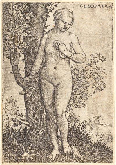 Cleopatra de Barthel Beham