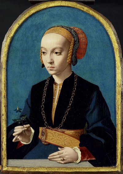 Retrato de Elisabeth Bellinghausen (c.1520- después de 1570) de Bartholomäus Bruyn (I)