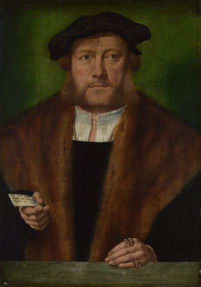 Retrato de un hombre, ca 1533-1534 de Bartholomaeus Bruyn