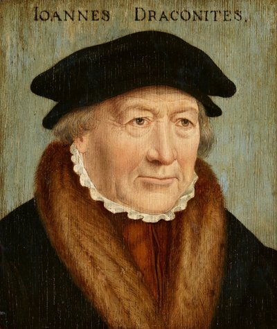 Retrato de Johannes Draconites de Bartholomaeus Bruyn the Elder