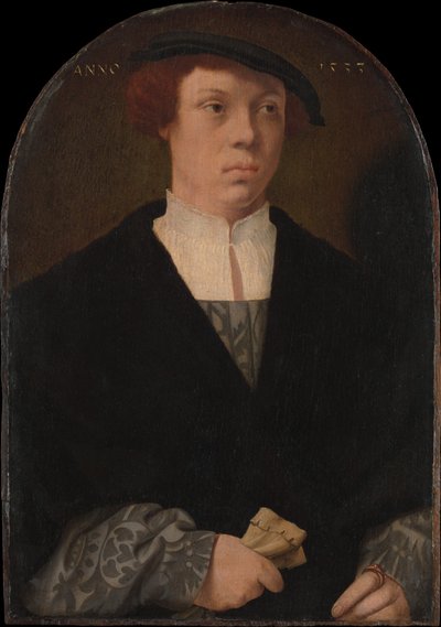 Retrato de un hombre, 1533 de Bartholomaeus Bruyn the Elder
