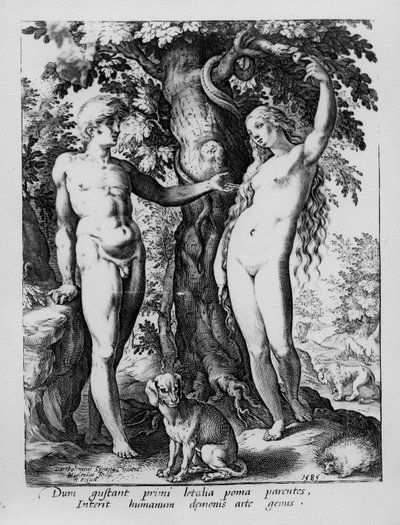 Adán y Eva, grabado por Hendrik Goltzius, 1585 de Bartholomaeus Spranger