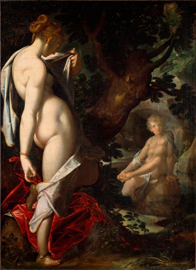 La náyade Salmacis admirando a Hermafrodito bañándose en un manantial de Bartholomaeus Spranger