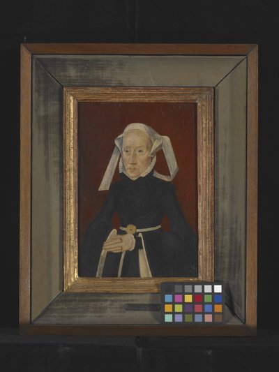 Retrato de una dama (óleo sobre madera) de Bartholomaeus the Elder Bruyn